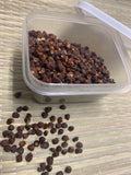 Pimienta de Guinea- Guinea Pepper Grains